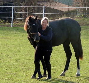 A picture of a horse