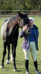 A picture of a horse